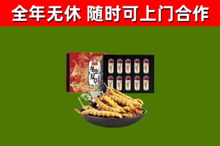 房山烟酒回收冬虫夏草礼盒.jpg